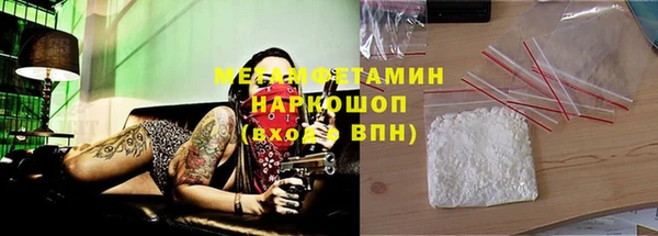 молекула духа Тайга