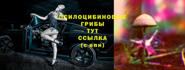 молекула духа Тайга