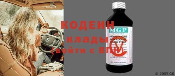 молекула духа Тайга