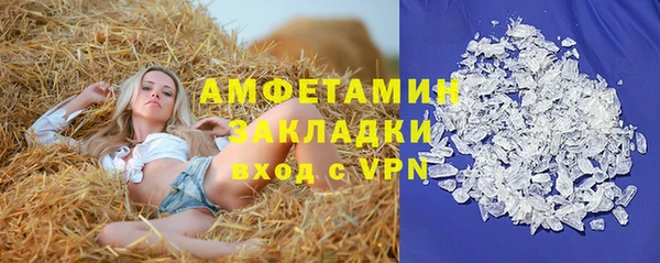 молекула духа Тайга