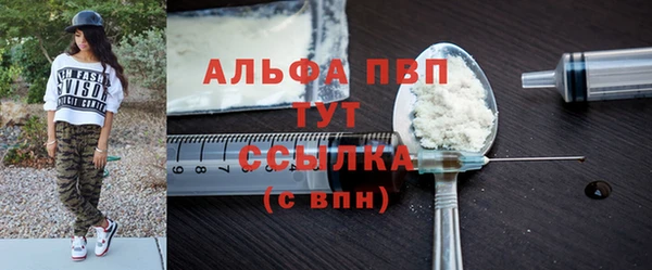 молекула духа Тайга