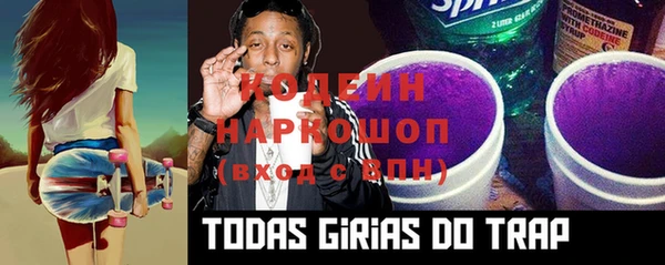 молекула духа Тайга